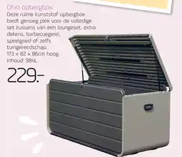 Coppelmans Ohio opbergbox aanbieding