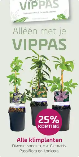 Coppelmans Alle klimplanten aanbieding