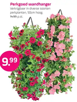 Coppelmans Perkgoed wandhanger aanbieding