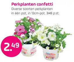 Coppelmans Perkplanten confetti aanbieding