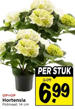Vomar Voordeelmarkt Hortensia aanbieding