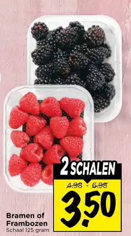 Vomar Voordeelmarkt Bramen of Frambozen aanbieding