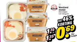 Hoogvliet Westland slaatje aanbieding