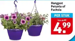 Hoogvliet Hangpot Petunia of Fuchsia aanbieding