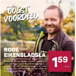 Ekoplaza Rode eikenbladsla aanbieding