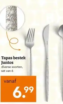 Blokker Tapas bestek Juntos aanbieding