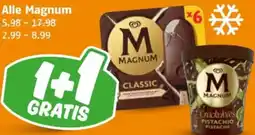 Poiesz Alle Magnum aanbieding