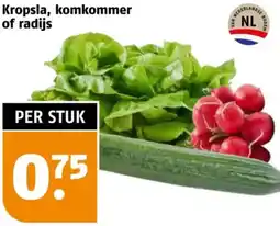 Poiesz Kropsla, komkommer of radijs aanbieding