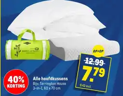Makro Alle hoofdkussens aanbieding