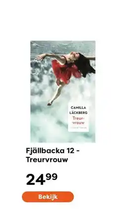 The Read Shop Fjällbacka 12 - Treurvrouw aanbieding