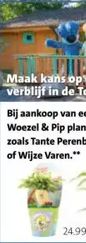 Intratuin Bij aankoop van een Woezel & Pip plant, zoals Tante Perenboom of Wijze Varen. aanbieding