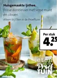Intratuin Huisgemaakte ijsthee. aanbieding