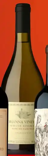 Gall & Gall Catena Adrianna Vineyard White Stones Chardonnay 75CL aanbieding