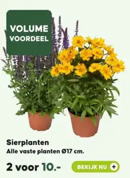 Pets Place Sierplanten aanbieding