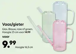 AllesZ Vaas/gieter aanbieding