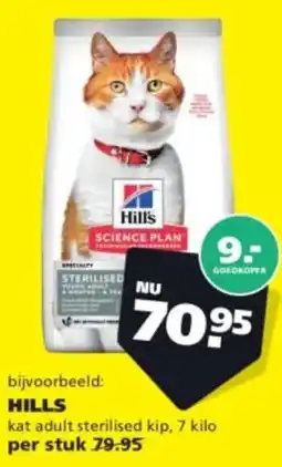Ranzijn Hill's aanbieding