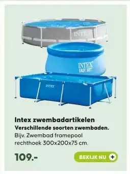 Pets Place Intex zwembadartikelen Verschillende soorten zwembaden. aanbieding