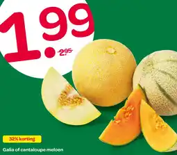 Spar Galia of cantaloupe meloen aanbieding