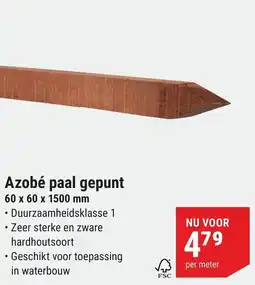 Pontmeyer Azobé paal gepunt aanbieding