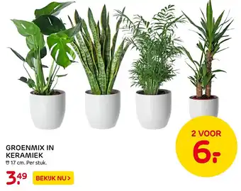 Praxis Groenmix in keramiek 17cm aanbieding