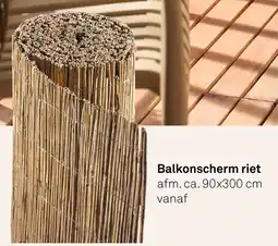 Karwei Balkonscherm Riet aanbieding