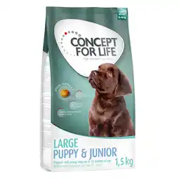 Zooplus 1,5kg Large Junior Concept for Life Hondenvoer aanbieding