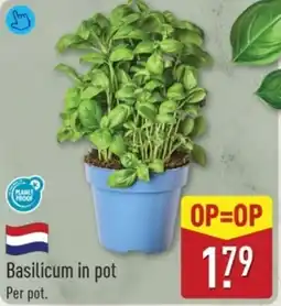 ALDI Basilicum in Pot aanbieding