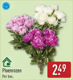 ALDI Pioenrozen aanbieding