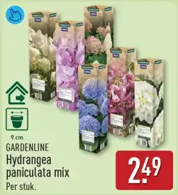 ALDI Gardenline Hydrangea Paniculata Mix aanbieding