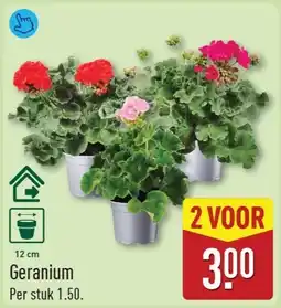 ALDI Geranium aanbieding