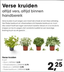 HANOS Verse kruiden aanbieding