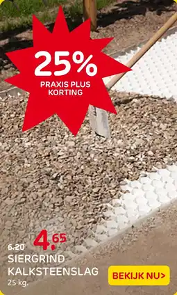 Praxis Siergrind kalksteenslag aanbieding