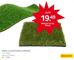 Praxis 5mm. kunstgras prems aanbieding