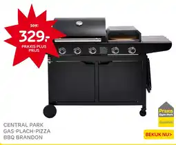 Praxis Central park gas-plach-pizza bbq brandon aanbieding