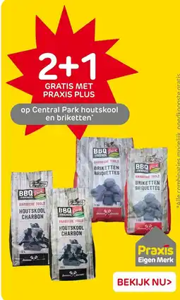 Praxis Central Park houtskool en briketten aanbieding