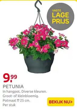 Praxis Petunia aanbieding