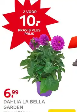 Praxis Dahlia la bella garden aanbieding