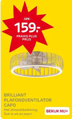 Praxis Brilliant plafondventilator capo aanbieding