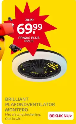 Praxis Brilliant plafondventilator montero aanbieding