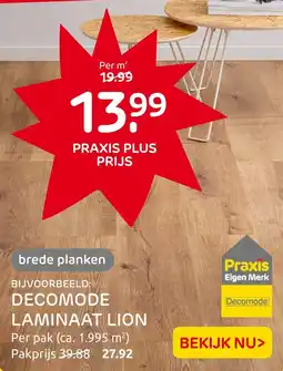 Praxis Decomode laminaat lion aanbieding