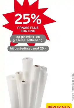 Praxis Glasvlies- en glasweefselbehang aanbieding