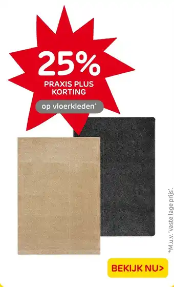 Praxis Vloerkleden aanbieding