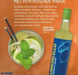 Makro Madruzzo Limoncello aanbieding