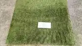 Bol.com Kunstgras - Grastapijt - Artificial Grass - Grasmat voor Buiten / Tuin / Balkon - 4 x 1 mtr - 15 mm aanbieding