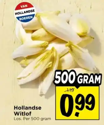 Vomar Voordeelmarkt Hollandse Witlof aanbieding