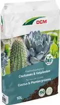 Bol.com DCM POTGR CACTUS/VETPLANTEN 10L aanbieding