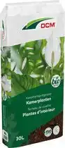 Bol.com DCM POTGR KAMERPLANTEN 30L aanbieding