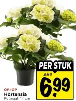 Vomar Voordeelmarkt Hortensia aanbieding