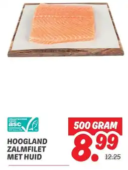 Dekamarkt HOOGLAND ZALMFILET MET HUID aanbieding
