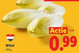 Lidl Witlof aanbieding
